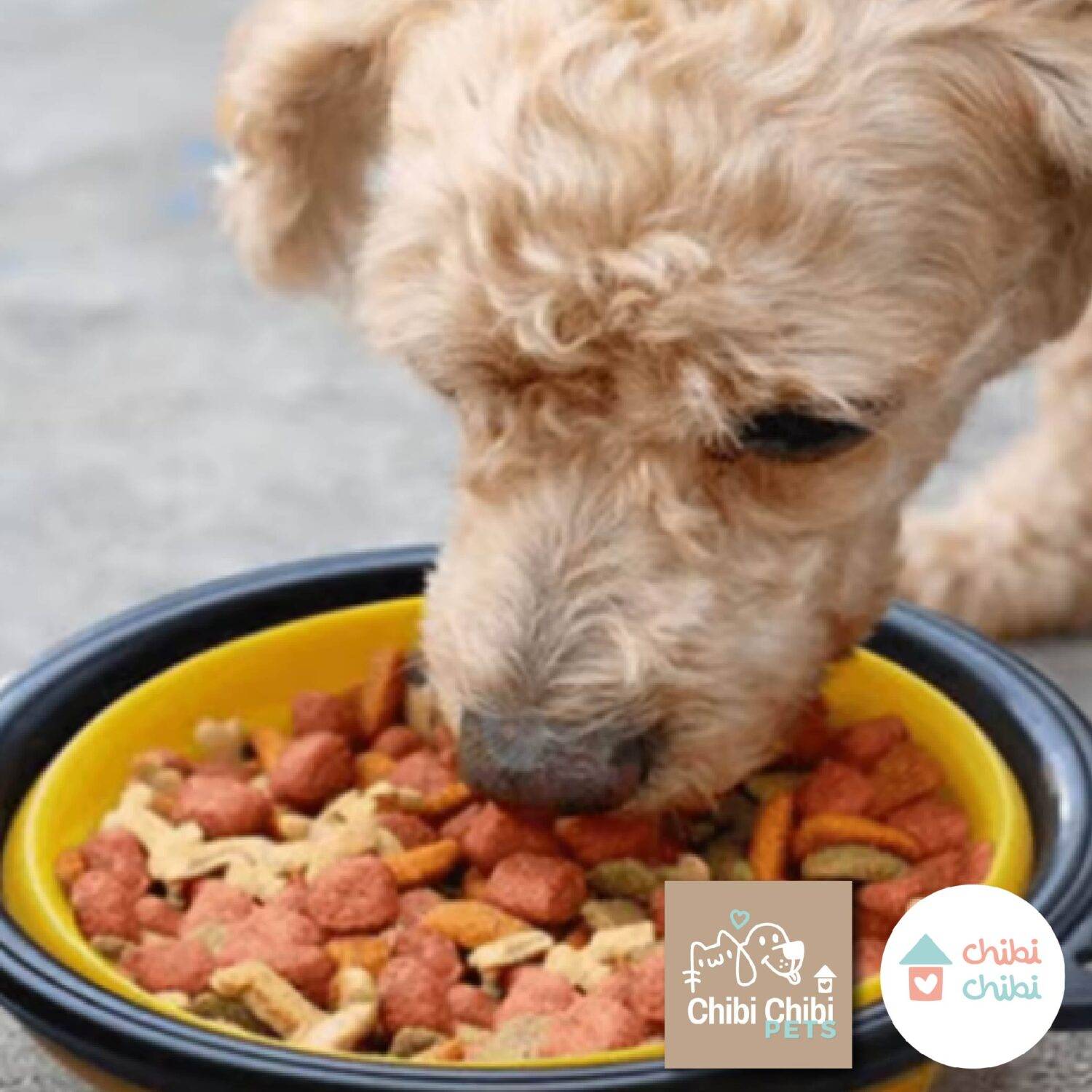 PLATOS PLEGABLES MASCOTAS-con logo-07