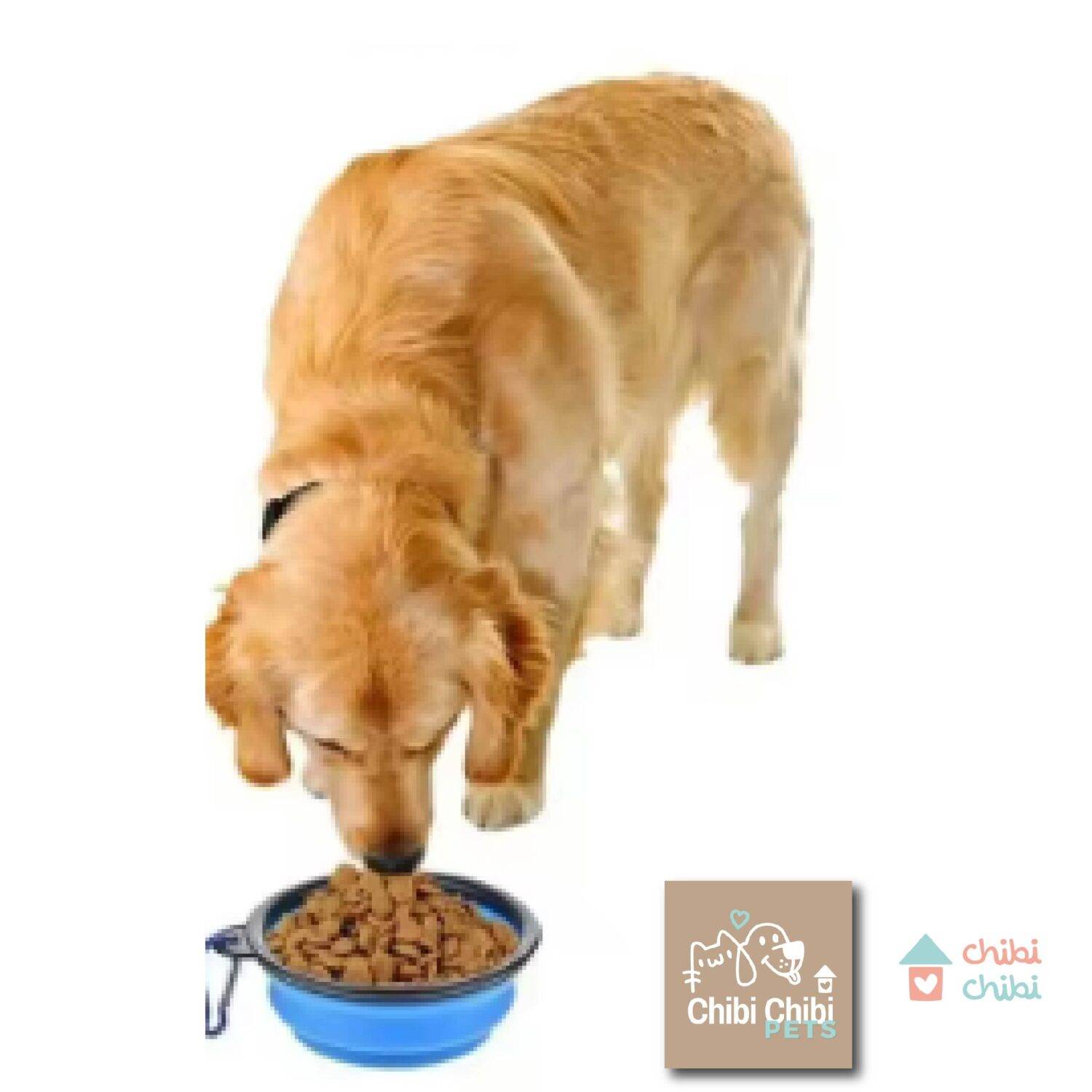 PLATOS PLEGABLES MASCOTAS-con logo-19