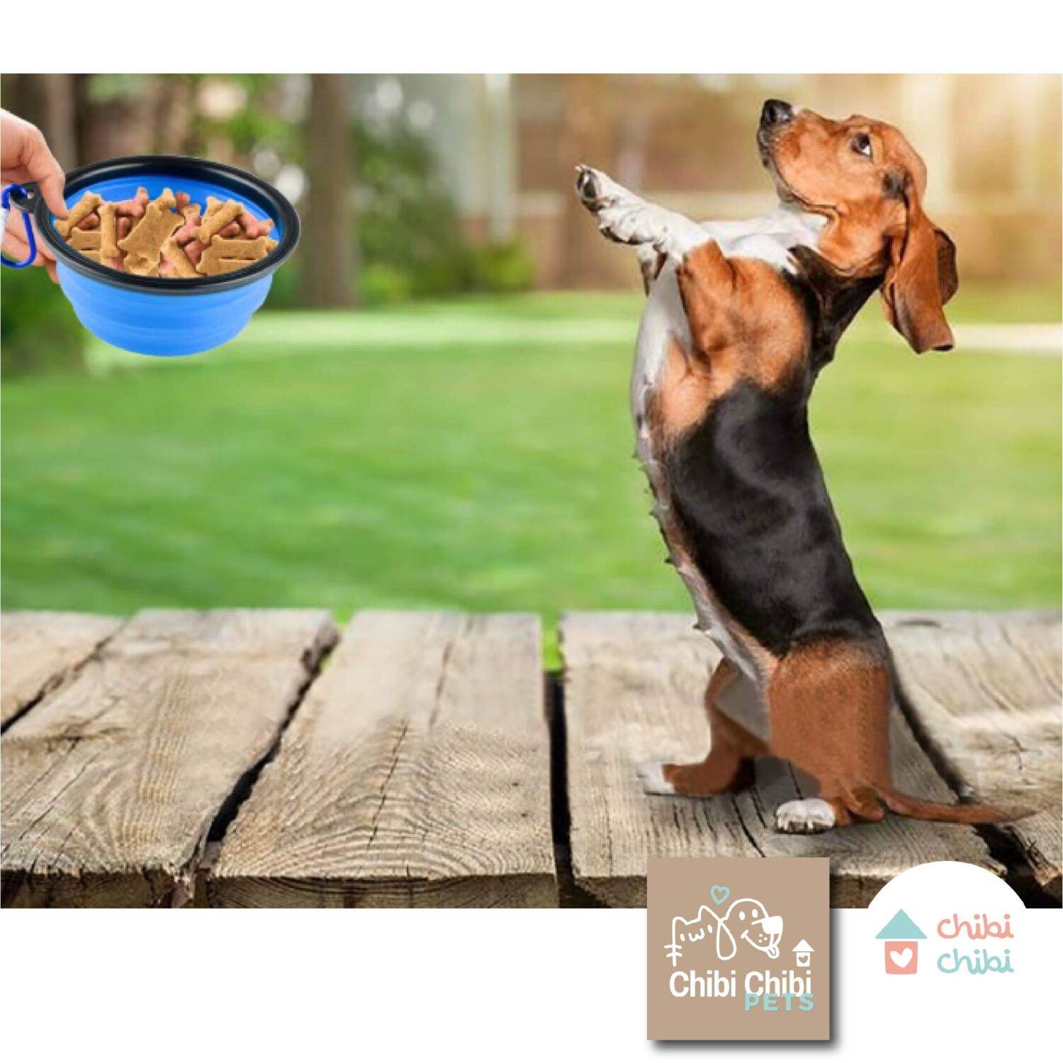 PLATOS PLEGABLES MASCOTAS-con logo-27